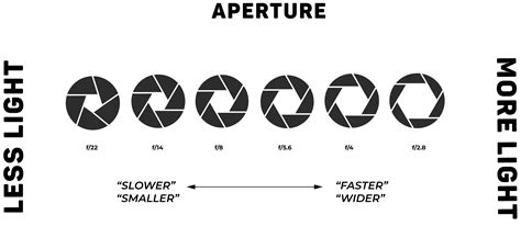 如何選擇理想的光圈大小？攝影達人的終極指南！